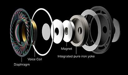 diaphragm