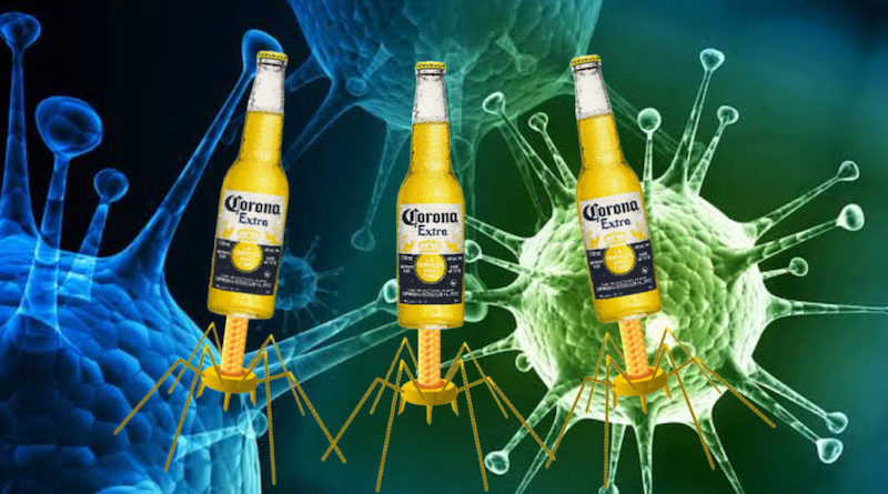 corona virus