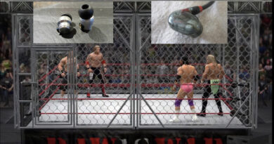 cage match IE 400 PRO JVC