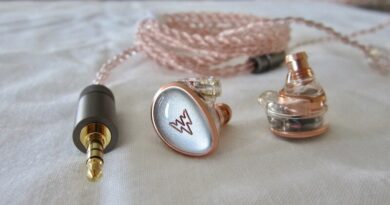 Whizzer Kylin HE01