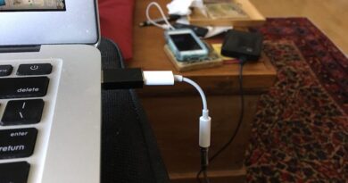 Apple Audio-Adapter