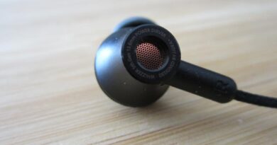 Whizzer BS1