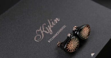 Whizzer Kylin HE03D