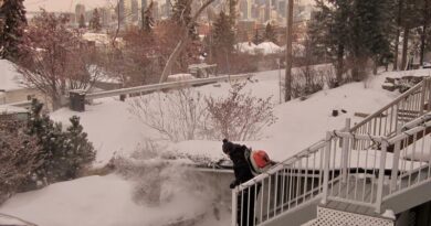 leaf blowers calgary