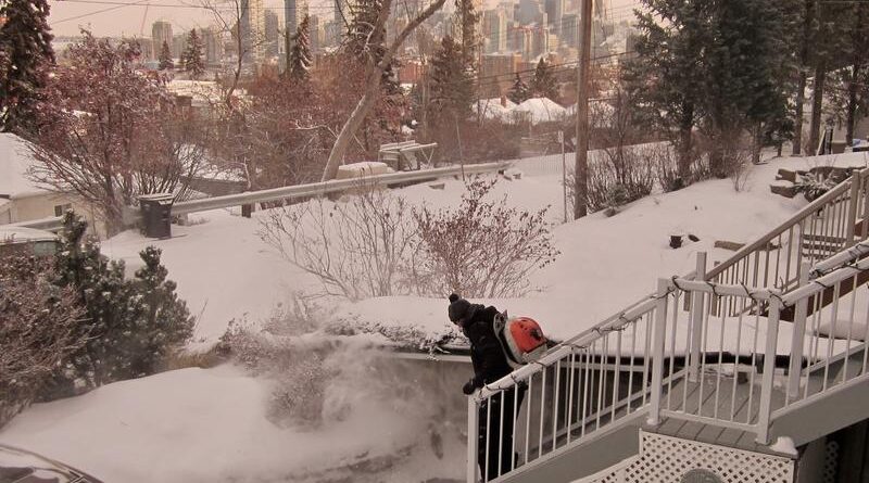 leaf blowers calgary