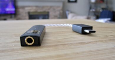 ifi Audio GO Link