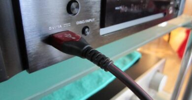 audioquest cinnamon lightning