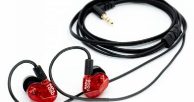 Maestraudio MAPro 1000 Review - Intime As Well